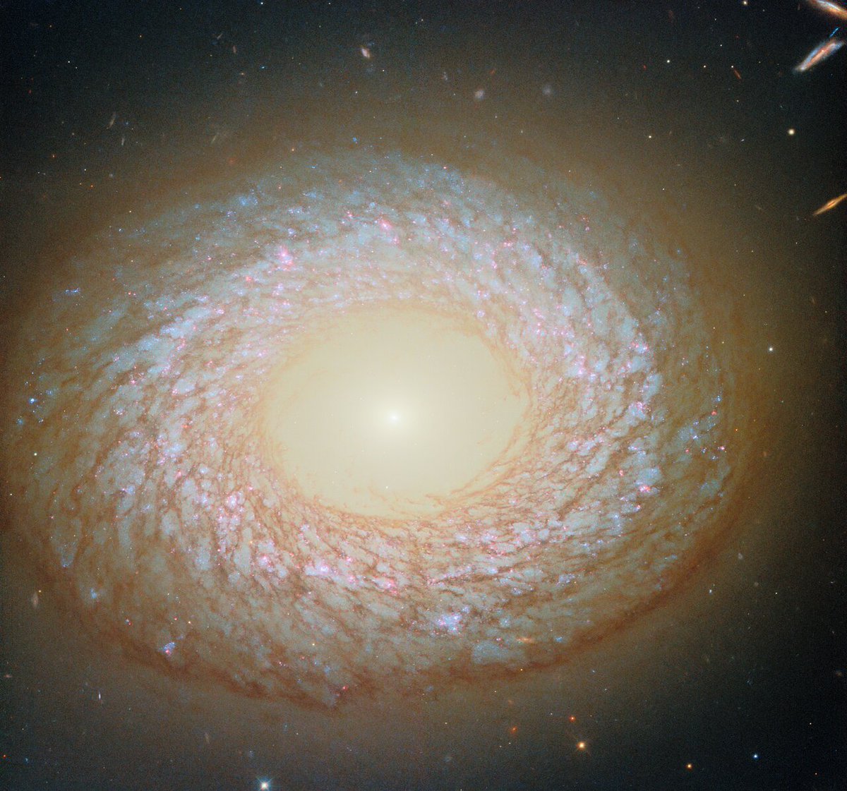 ハッブルによる銀河NGC 2775の観測画像